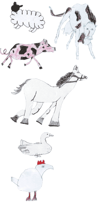Animals drawn by Anna (sheep), Evie (chicken), Henry (Duck), Alex (Horse), Justine (pig) and Hassan (Cow)
