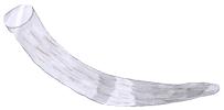 Horn drawn by Liam age 10