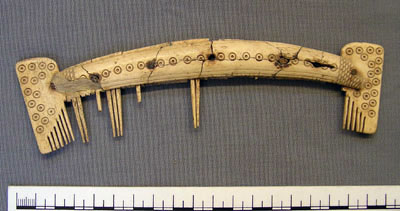 Bone comb from Sutton Courtenay