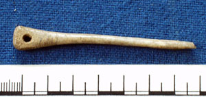 Bone needle from Sutton Courtenay