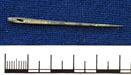 Needle