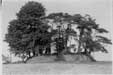 Photograph of Asthall Barrow in 1923